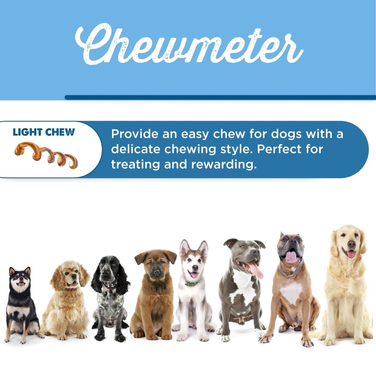 Image of eight dogs of different breeds sitting under a text advertisement for Best Bully Sticks&#39; 7 to 10-Inch Curly Bully Stick. The ad describes this dog chew as an easy and enjoyable treat for dogs with a delicate chewing style, suitable for treating and rewarding.