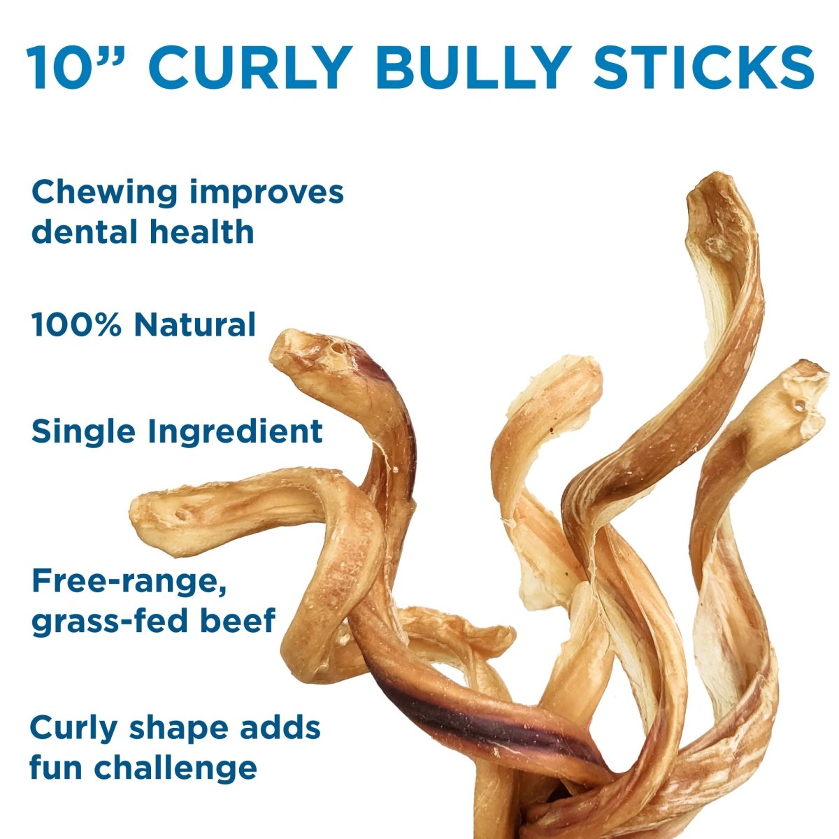 The Best Bully Sticks 7 to 10-Inch Curly Bully Stick, suitable for dogs, features text highlighting its benefits: improve dental health, 100% natural, single ingredient, free-range grass-fed beef, and a curly shape for added fun.