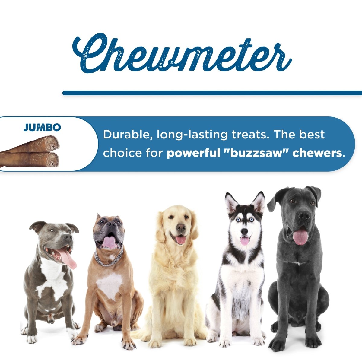 A group of dogs standing next to each other with the words &quot;Best Bully Sticks 12-Inch Jumbo Odor-Free Bully Stick.