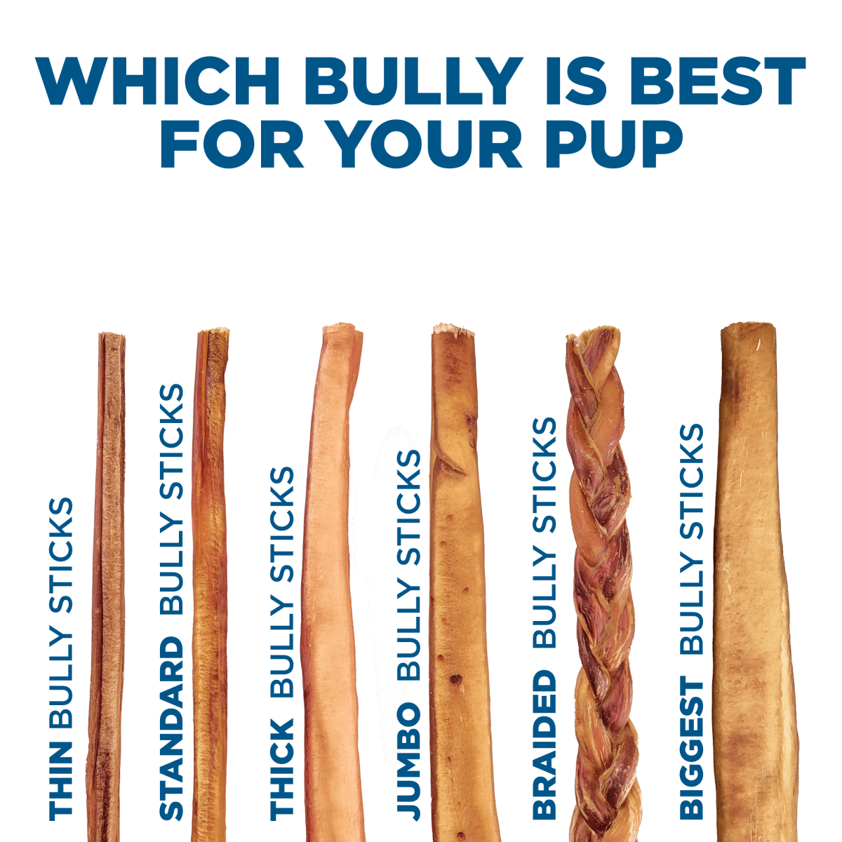 Which 12-Inch Odor-Free Bully Stick Mix from Best Bully Sticks is best for your pup?