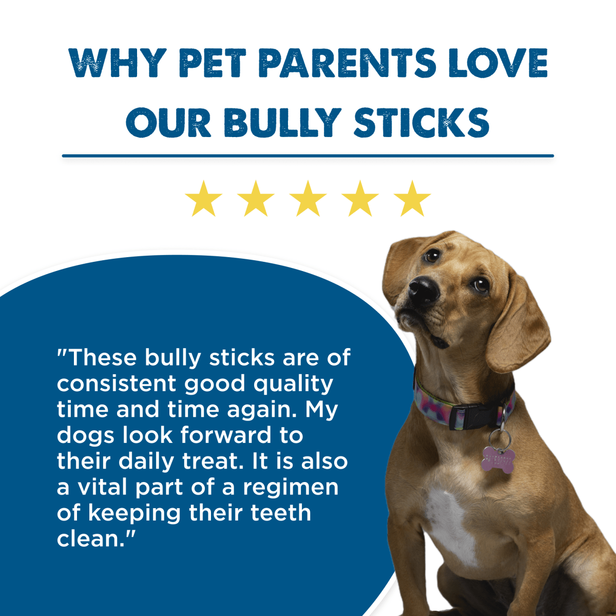 Why pet parents love our Best Bully Sticks 12-Inch Standard Bully Stick.