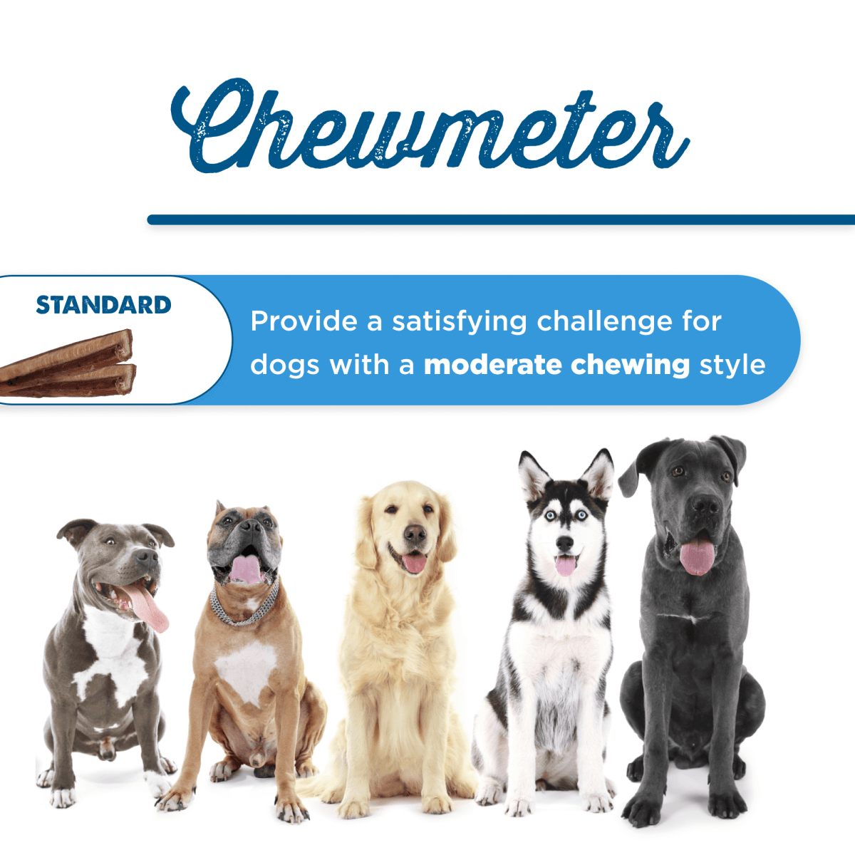 A group of dogs standing next to each other with the Best Bully Sticks 12-Inch Standard Odor-Free Bully Stick.