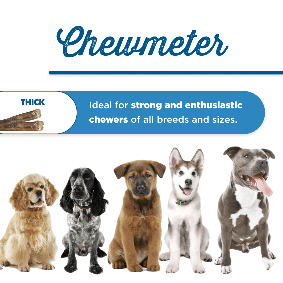 Chewometer for dogs of all breeds and sizes: Best Bully Sticks 12-Inch Thick Bully Stick.