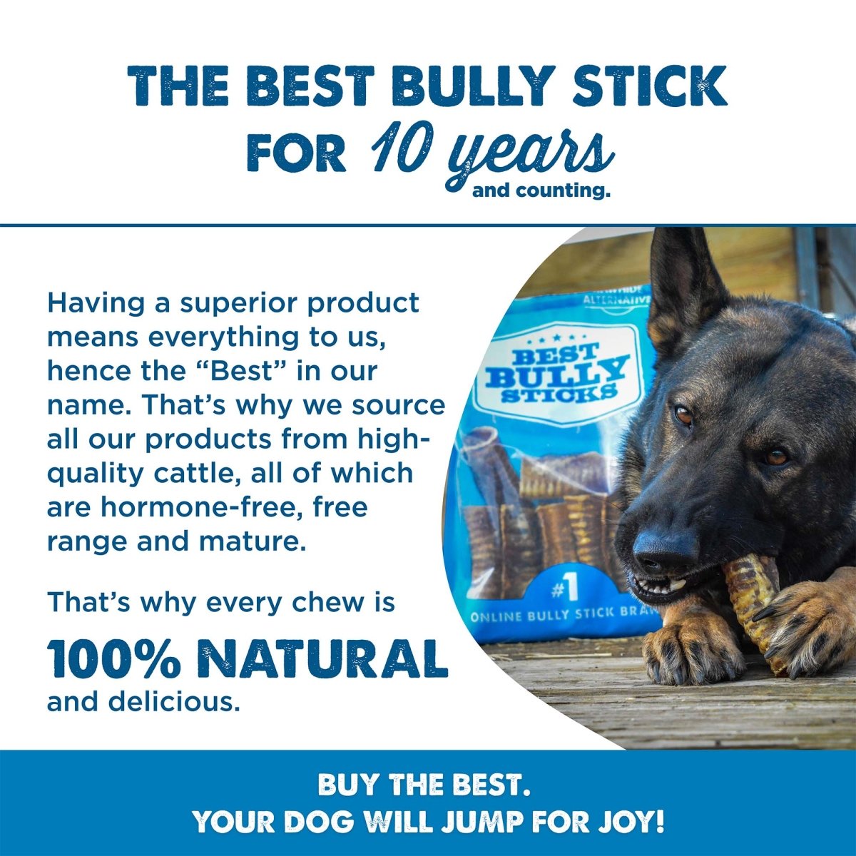 The Best Bully Sticks 3-Inch Beef Trachea Dog Chews for 10 years.