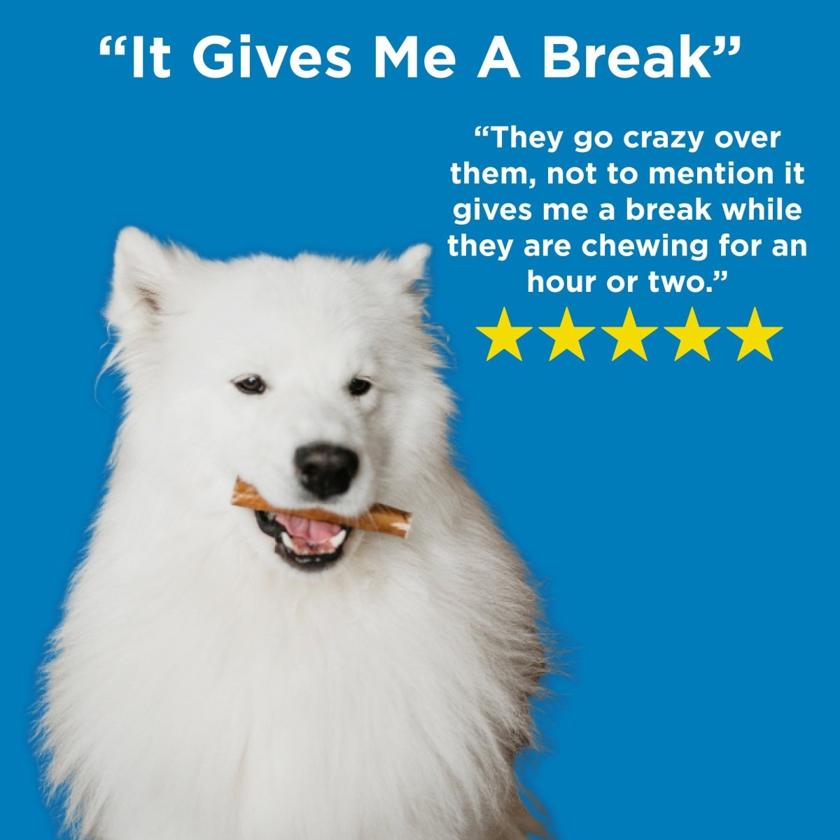 A dog chewing on a 4-8 Inch Odor-Free Bully Stick from Best Bully Sticks with the words it gives me a break.