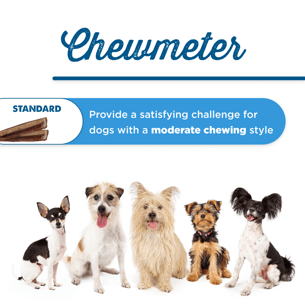 A group of dogs standing next to each other with the words Best Bully Sticks 4-8 Inch Odor-Free Bully Sticks.