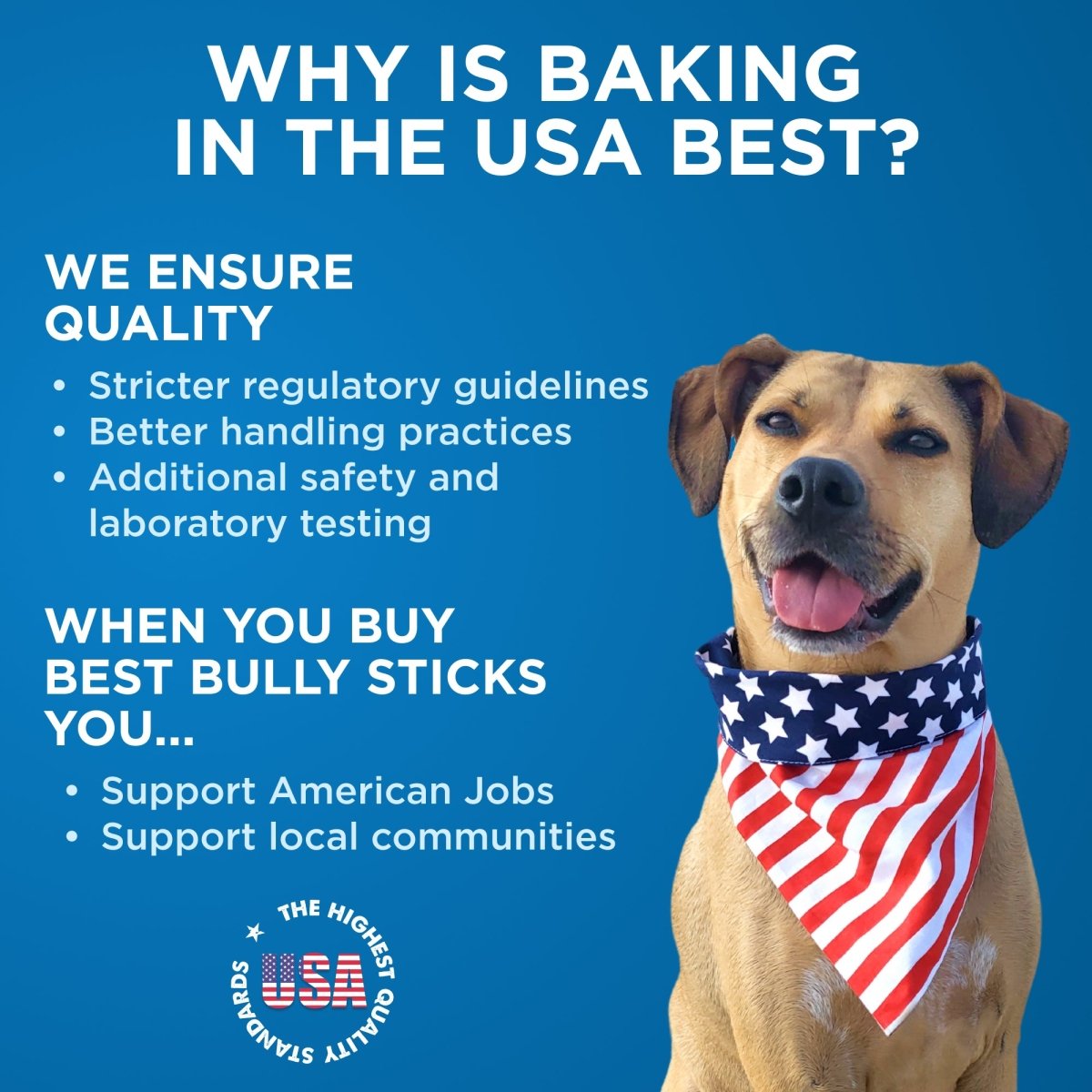 A dog wearing a bandana with the words why is chewing on a 6-Inch Jumbo USA-Baked Odor-Free Bully Stick from Best Bully Sticks.