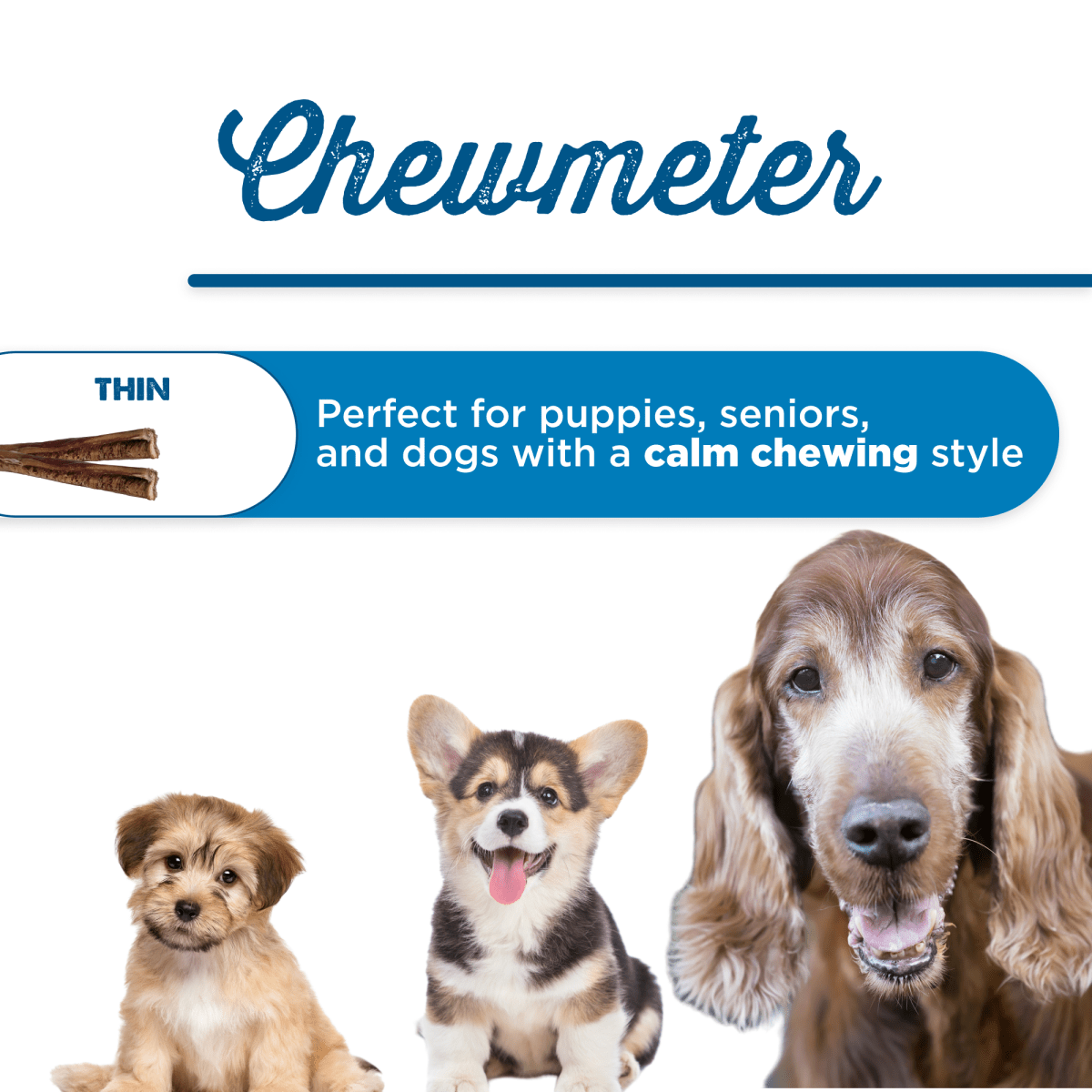 Ad for Best Bully Sticks featuring three dogs (a small fluffy dog, a corgi, and a basset hound) with all-natural 6-Inch Thin Bully Sticks, text promoting suitability for puppies, seniors.