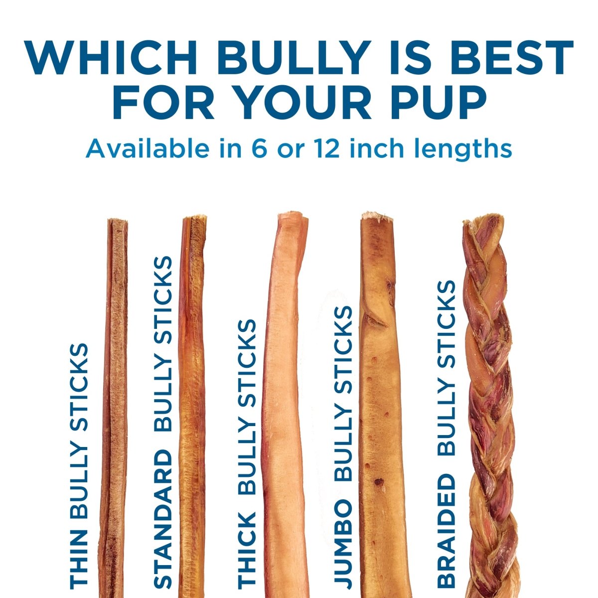 Graphic comparing types of Best Bully Sticks 6-Inch Thin Odor-Free Bully Sticks for dogs, labeled as thin, standard, thick, jumbo, and braided, available in 6 or 12 inch lengths.