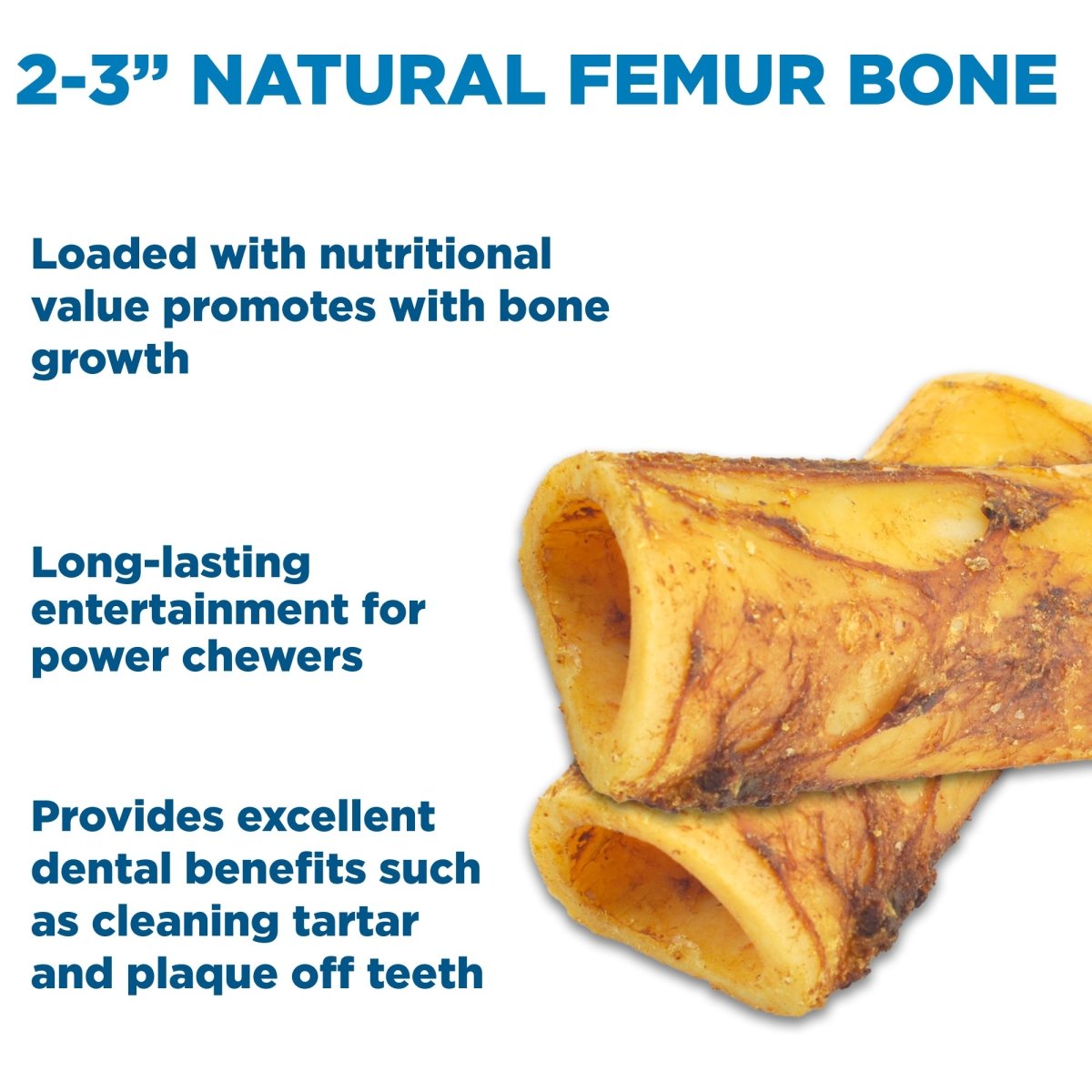 Best Bully Sticks BB 2-3 Inch Natural Femur Bone 4pk for dogs.