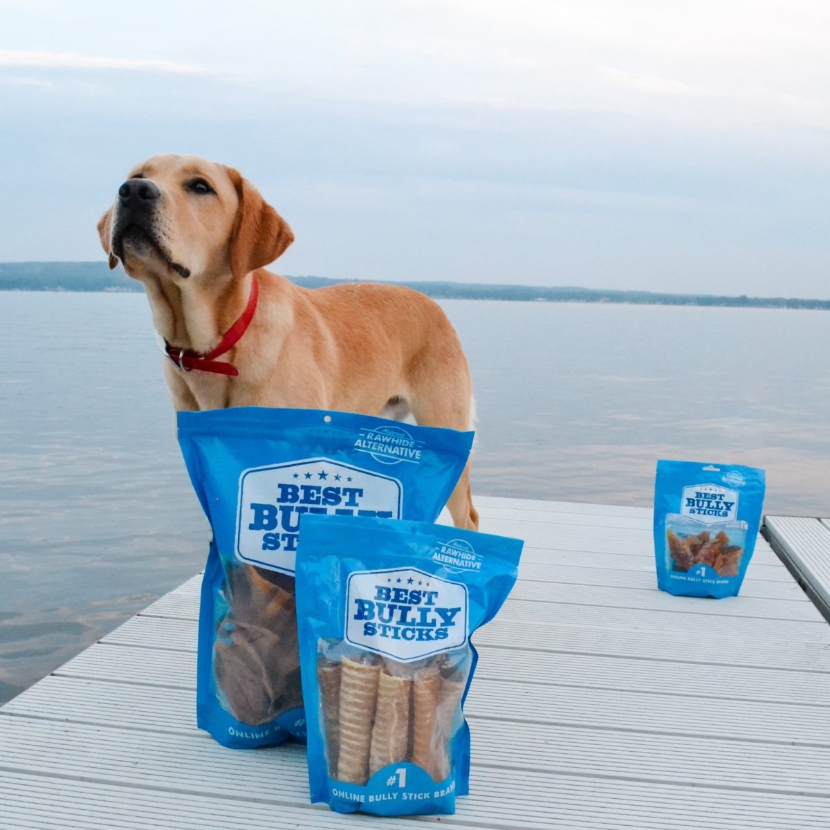 A dog is standing on a dock next to bags of Best Bully Sticks Beef Trachea Dog Chews - 5 to 6 Inch.