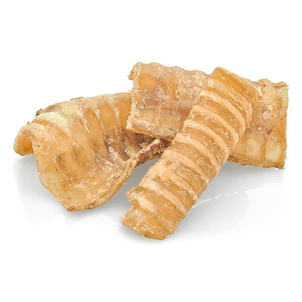 A piece of Beef Trachea Grab Bag (8 oz) from Best Bully Sticks on a white background.