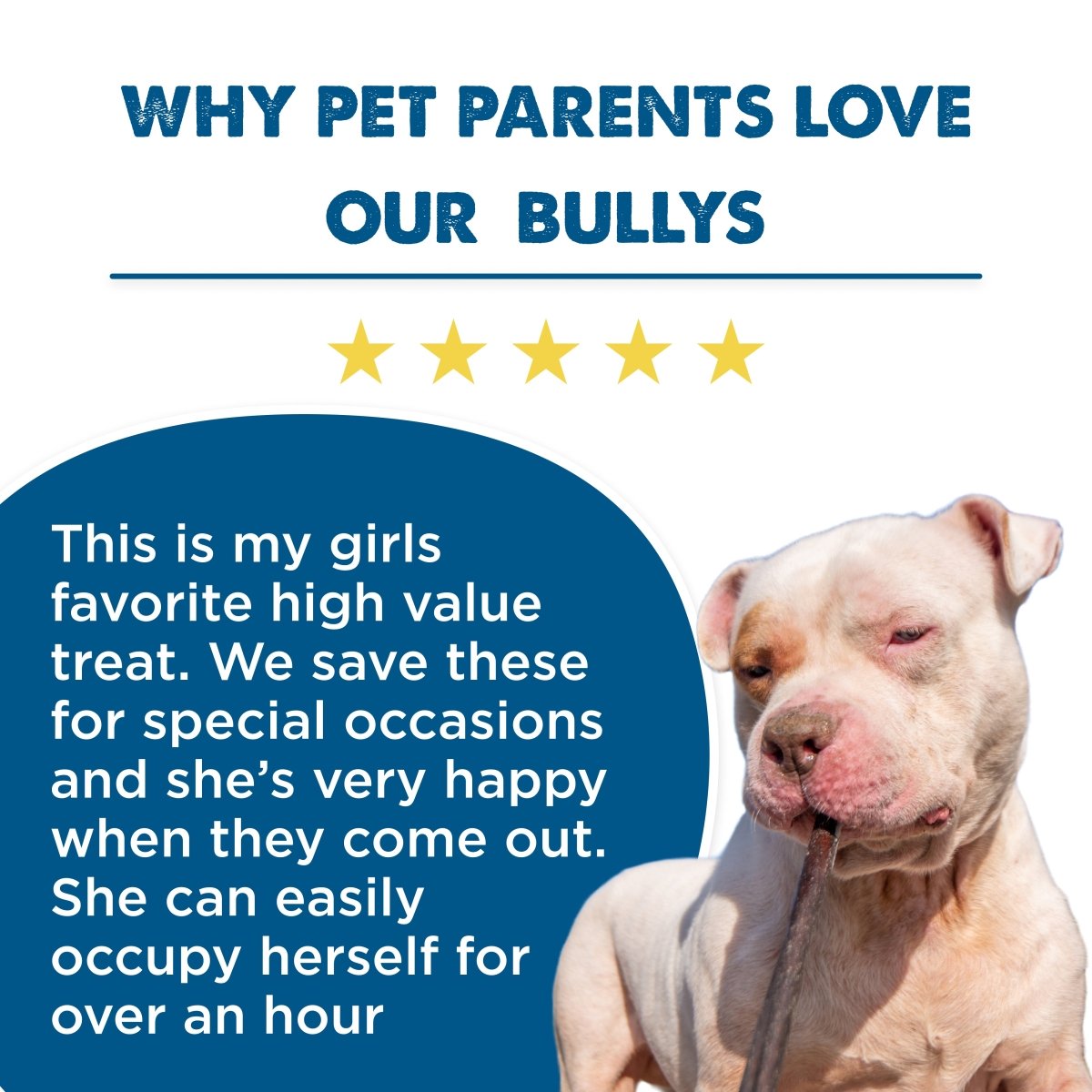 Why pet parents love our Best Bully Sticks 12 Inch Peanut Butter Collagen.