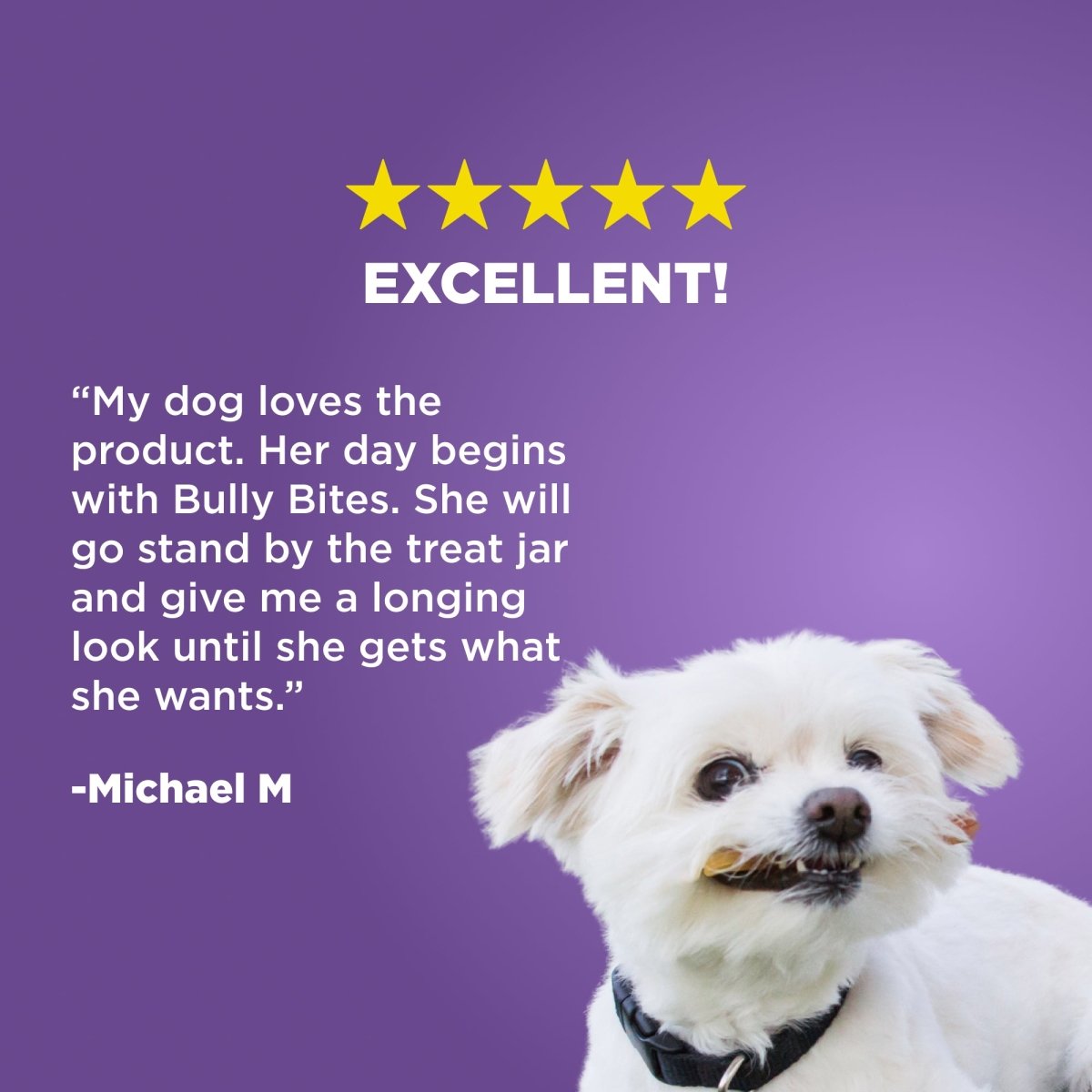 Michael&#39;s review for Best Bully Sticks&#39; Bully Bite.