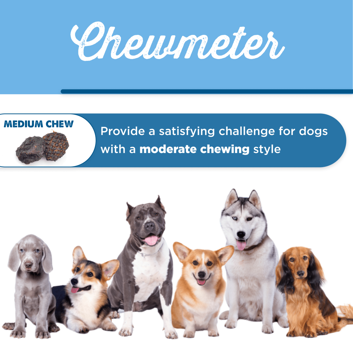 A group of dogs standing next to each other with the words Char-Grilled Bully Burgers from Best Bully Sticks.