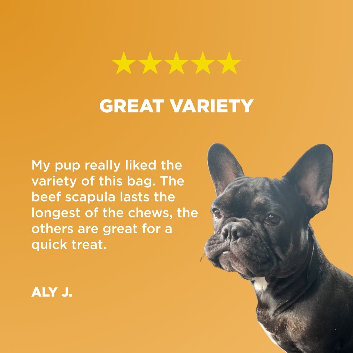 A french bulldog on a yellow background with the text, Best Bully Sticks&#39; Chews and Treats Value Grab Bag (1 lb), great variety.