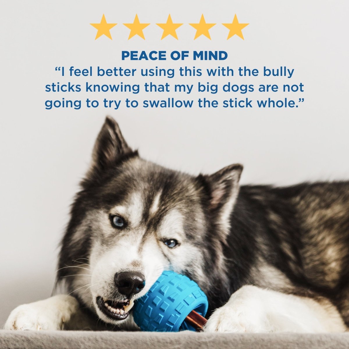 A dog chewing on a Chewzie - Bully Stick Holder Dog Toy from Best Bully Sticks with the words peace of mind.