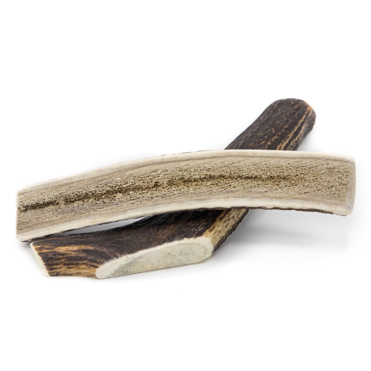 A pair of Large Split Elk Antlers from Best Bully Sticks on a white background.