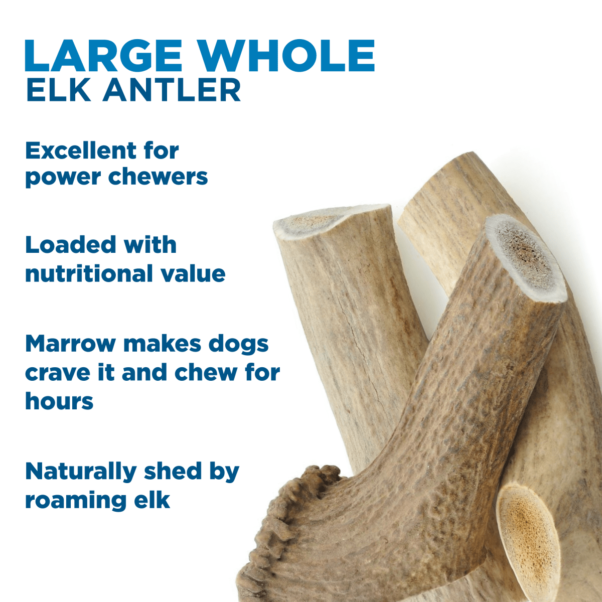 Large Whole Elk Antler (1 Count) by Best Bully Sticks.