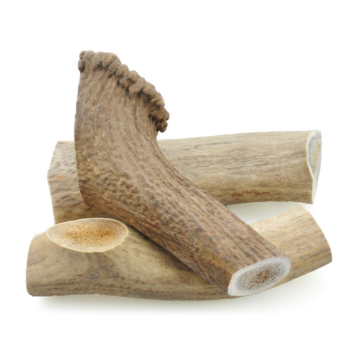 A pair of Large Whole Elk Antlers from Best Bully Sticks on a white background.