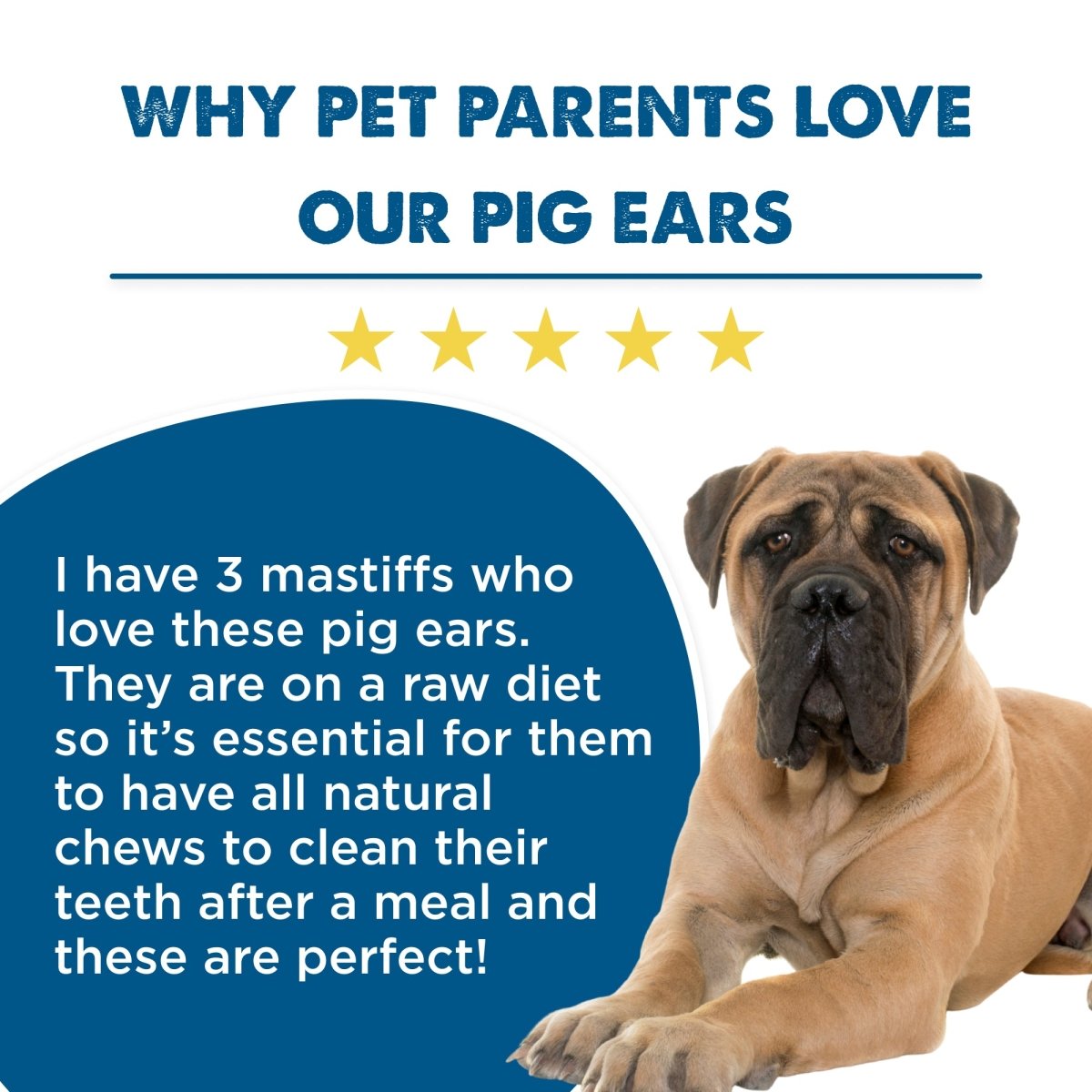 Why pet parents love our Best Bully Sticks Pig Ear Dog Treat (25 Pack).