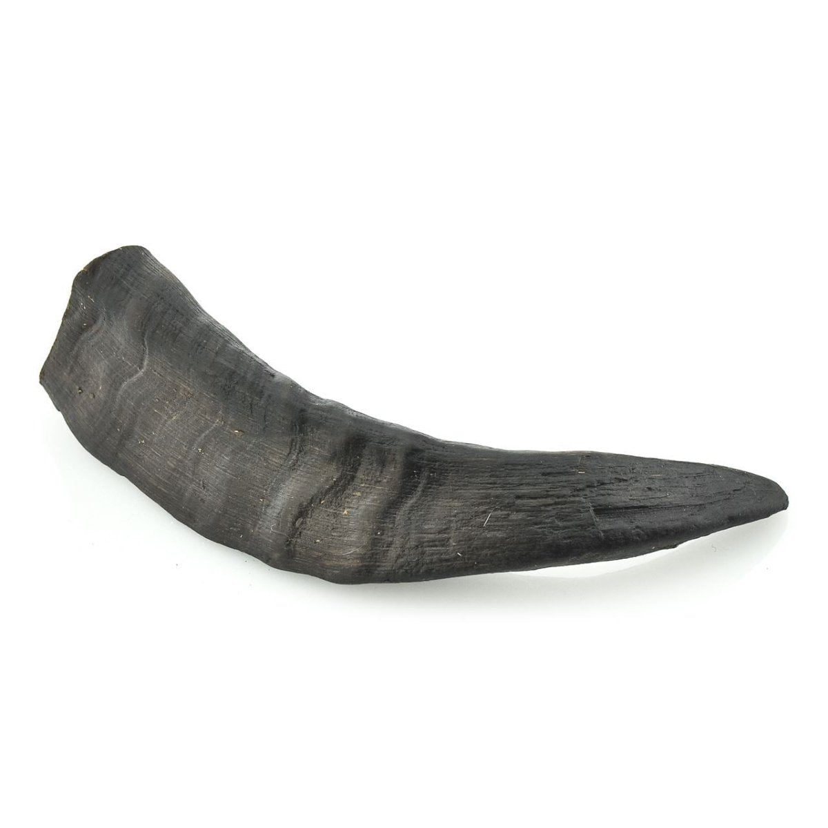 A Small Goat Horn (5 Pack) from Best Bully Sticks on a white background.