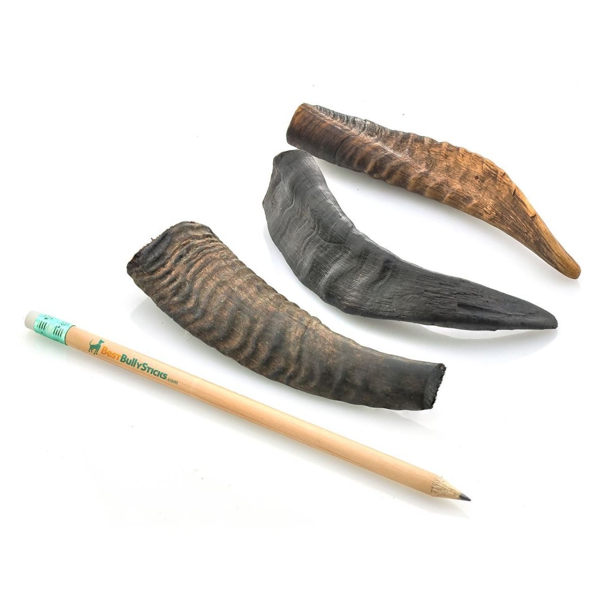 Three Small Goat Horns (5 Pack) and a pencil on a white surface.