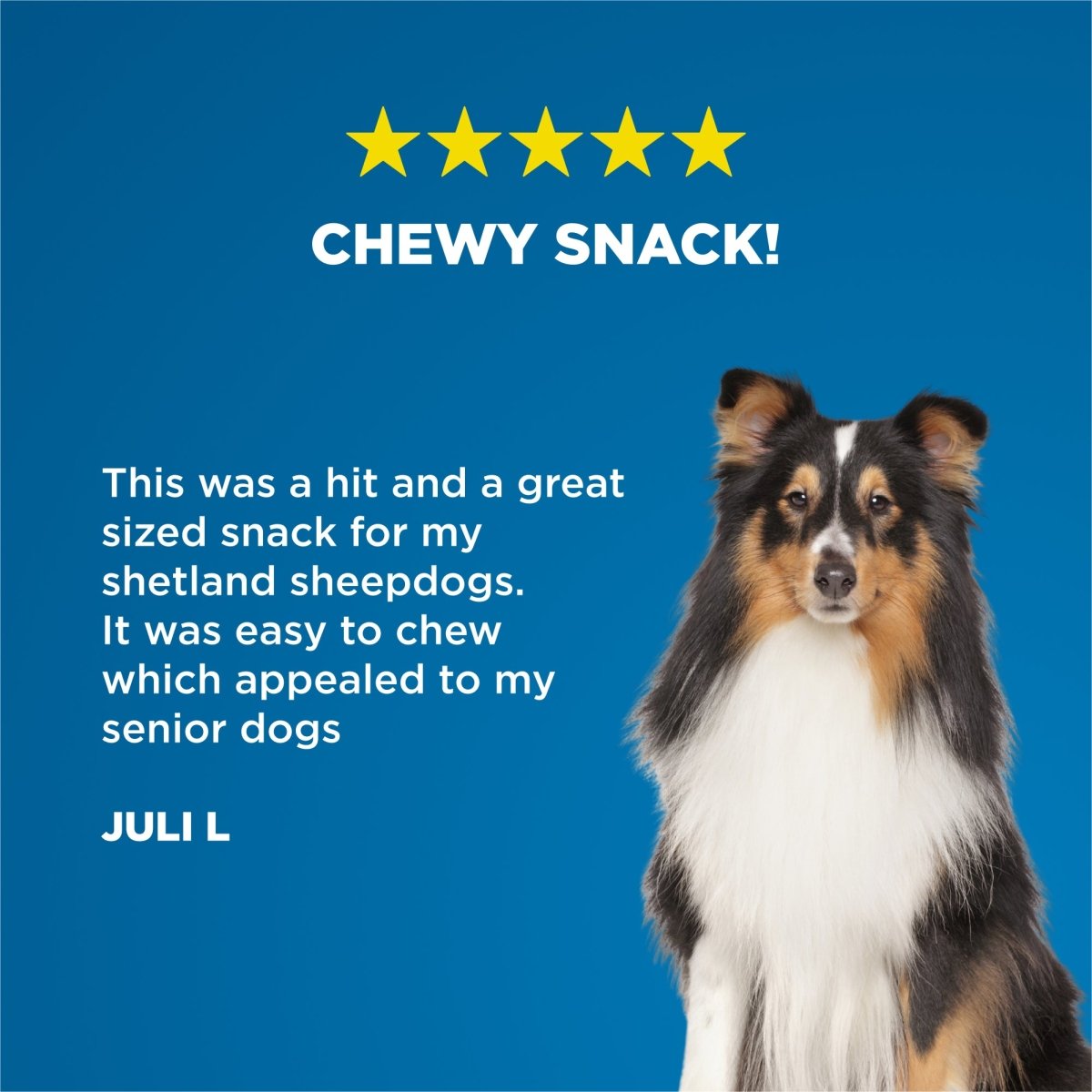 Julia&#39;s Stuffed Snackle for herding dogs by Best Bully Sticks.